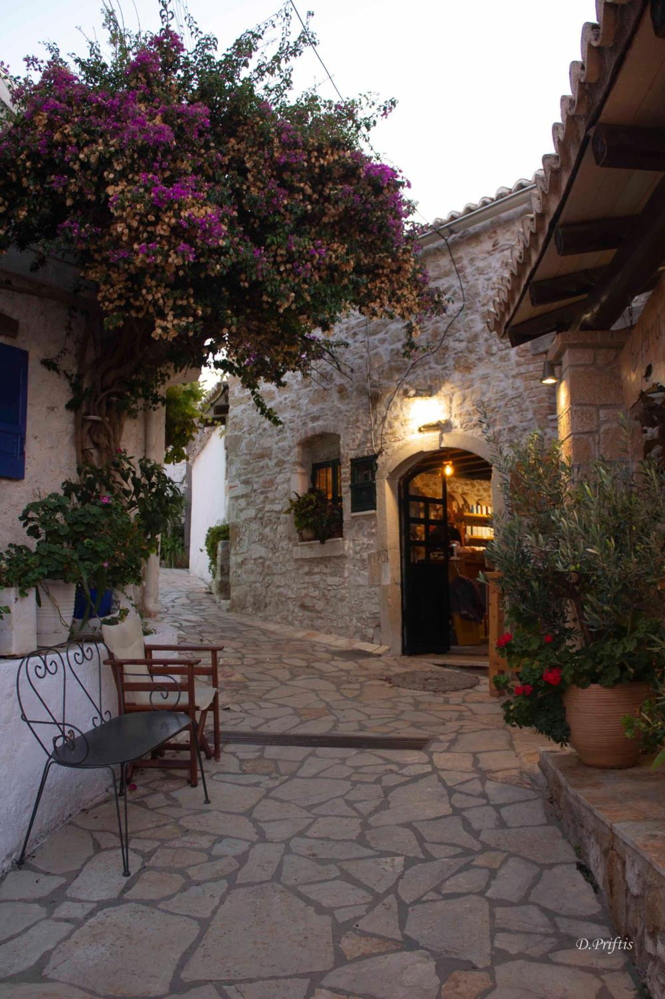 Villa Euphoria Apts Afionas Exterior photo